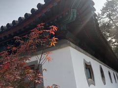 -香山公园