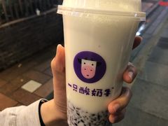 -一只酸奶牛(八一路店)