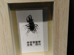 -佛山科学馆
