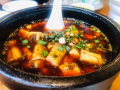 邵子牛脊髓-曾牛肉