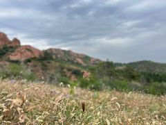 -红山国家森林公园