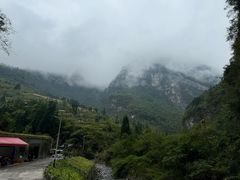 -鹿院坪生态旅游景区