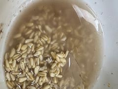 -清真·马安军辣子牛肉面