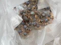 -北海金海湾红树林生态旅游区