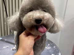 -宠物家(双井店)
