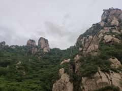 -大岭沟猕猴桃谷风景区