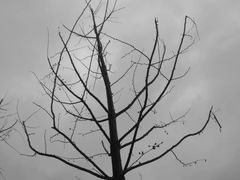 -国家会展中心-P3停车场