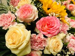 -蓝地时尚庄园(北京清河营地铁站店)