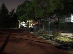 -浙江越秀外国语学院