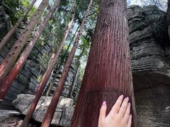 -梭布垭石林景区