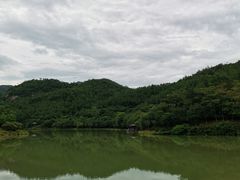 -广州白江湖森林公园