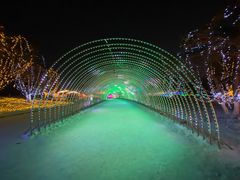 -长春世界雕塑园冰雪艺术天地