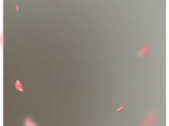 -C'è Amore爱意(亿合城店)