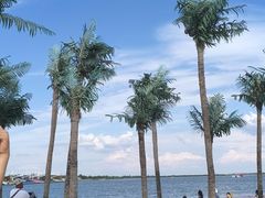 -呼兰河口湿地公园