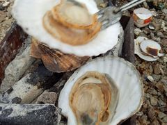 -石槽海滨浴场