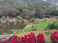 -广州市石门国家森林公园