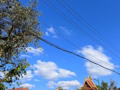 -西双版纳傣族园