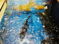 -姜君·千岛湖鱼头馆(浦东大道店)