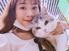 -瑞派动物医院·猫专科·至诚(江南中分院)