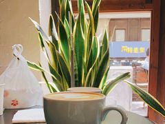 -VESH COFFEE(定西路店)