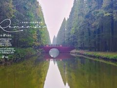 -黄海国家森林公园