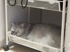 -Oasis绿洲银饰珍珠手作diy(壹方城店)