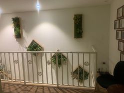 点击看大图 -薇薇安花系SPA