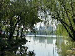 -杭州城北体育公园