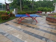 -金鸡岭桥头公园