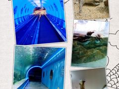 -常州海昌海洋探索馆