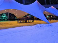 -沈阳奥体冰雪嘉年华