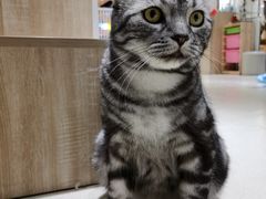 -藏猫猫咖啡主题馆(中央大道店)