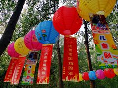 -合肥滨湖国家森林公园