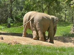 -北京野生动物园