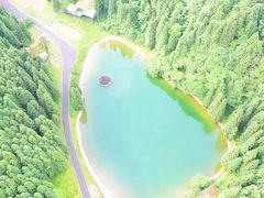 -武陵山森林公园