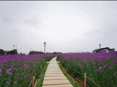 -深圳湾公园(南山区)