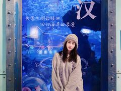 -海合安武汉极地海洋公园