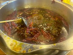 -金鼎雪山牦牛杂火锅(理县总店)