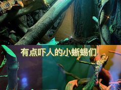 -海合安武汉极地海洋公园