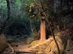 -水濂山森林公园