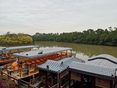 -大湾区中央湿地公园