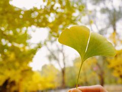 -长白岛森林公园