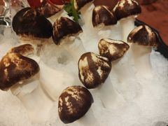 -同庆楼(天鹅酒家店)