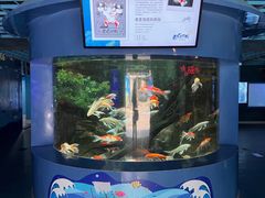 -厦门海底世界