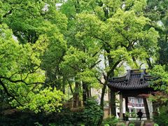 -阿育王寺