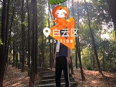 -广州市帽峰山景区