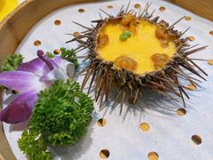 海胆蒸蛋-必点海鲜·海肠捞饭·鲅鱼水饺(滨江道店)