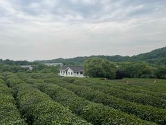 -韶关经律论国际酒店温泉