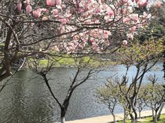 -泰合玺·精油疗愈SPA(虹悦城店)