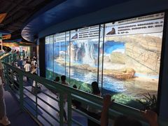 -海合安武汉极地海洋公园